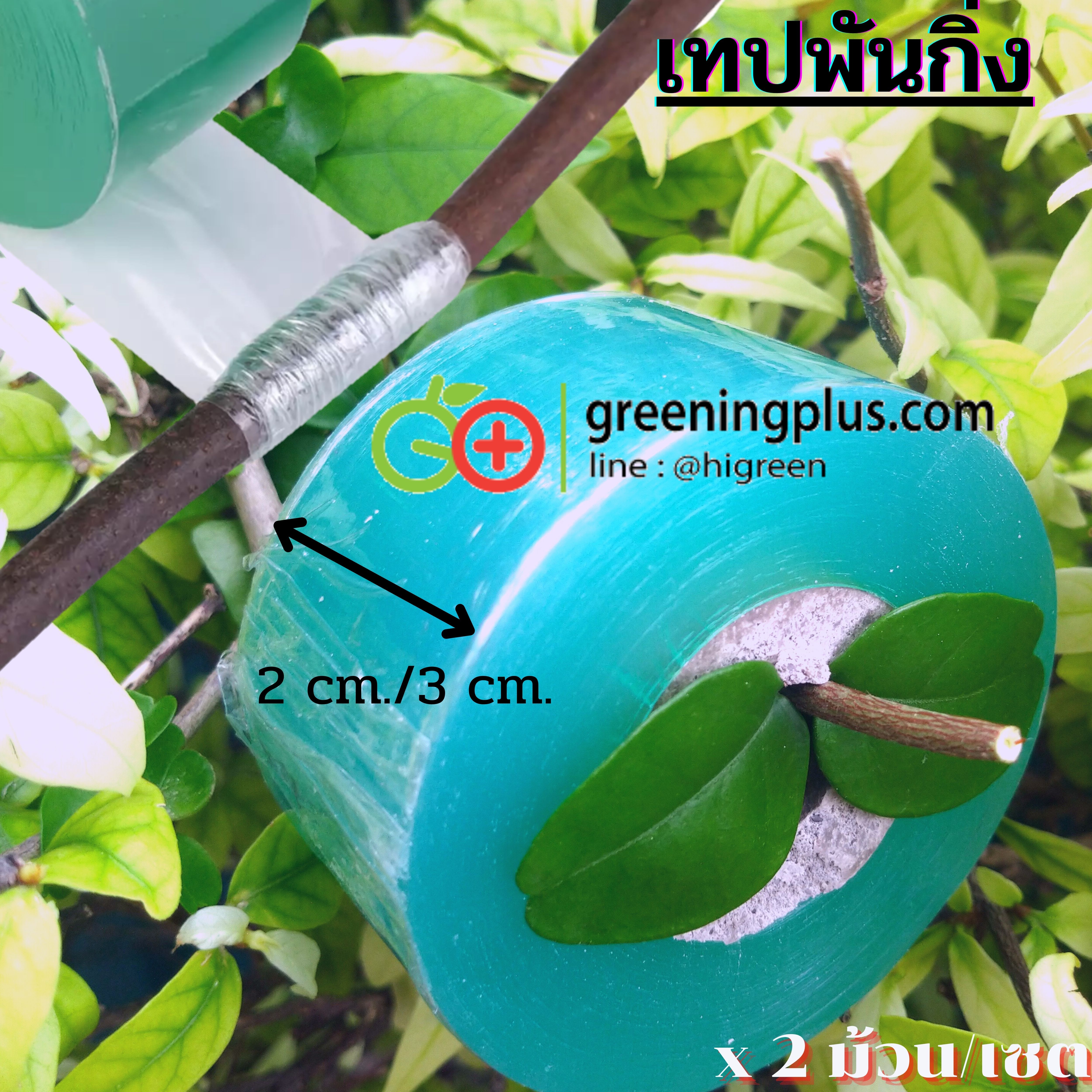 เทปพันกิ่งแบบใส (จำนวน 2 ม้วน)