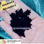 แกลบดำ/แกลบเผา ขนาด 5 ลิตร. จำนวน 2 ถุง