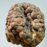 A714 ไม่ทราบชนิด ไม่ทราบที่