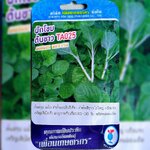 ผักโขมต้นขาว TA025 เพื่อนเกษตร