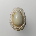 F181 เบี้ยแก้ เชือกถัก