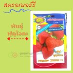 สตรอเบอร์รี่ สายพันธุ์ ฟุกุโอกะ 5 เมล็ด/ซอง