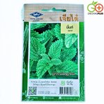 มิ้นท์ MINT เจียไต๋