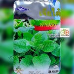 ผักปลัง Ceylon spinach เจียไต๋