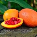 ฟักข้าว(Gac fruit) 10เมล็ด/ซอง