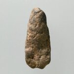 A825 คตดักแด้ คตจักจั่น