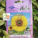 ดอกทานตะวันสีเหลือง Sun flower เจียใต๋
