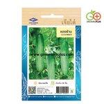 แตงร้าน CUCUMBER เจียไต๋