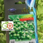 มะเขือพวง pea eggplant เจียใต๋