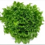 fillice iceberg 500 pills (ไม่เคลือบ)