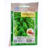 มะละกอฮอลแลนด์ PAPAYA HOLLAND เจียไต๋