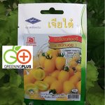 มะเขือเทศเชอรี่ สวีทบอย Cherry tomato sweet boy