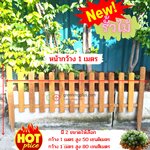 ไม้รั้ว ไม้ตกแต่งสวน