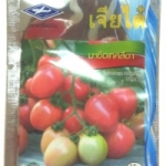 มะเขือเทศสีดา Tomato เจียใต๋