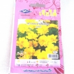 ดาวกระจายสีเหลือง Cosmos เจียใต๋