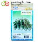 มะเขือไข่เต่าเขียว (Round Eggplant) เจียไต๋