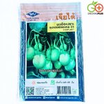 มะเขือเปราะ ซุปเปอร์ตอแหล 01 Eggplant เจียไต๋