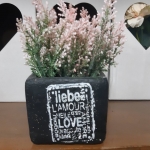 ดอกไม้ประดับ พร้อมกระถาง