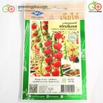 มะเขือเทศเชอร์รี่ สวีทปริ้นเซส (เจียใต๋)