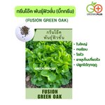 กรีนโอ๊ค พันธุ์ฟิวชั่น (บิ๊กกรีน) 500 เมล็ด แบบไม่เคลือบ ,เมล็ดสีดำ