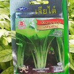 เขียวกวางตุ้งปทุมรัตน์ (pak choy pathumrat) เจียใต๋