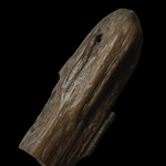 G638 ไม้กลายเป็นหิน