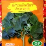 ผักโขมต้นเขียว (Amaranth) ภูเขาทอง