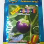 มะเขือเปราะ ม่วงเอ1 กำไลทอง