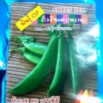 ถั่วลันเตาหวาน กำไลทอง