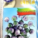 มะเขือเปราะม่วง เจียใต๋