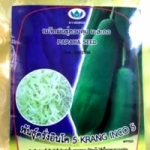 มะละกอพันธ์ ครั่งอินโด ตราฝนหยด