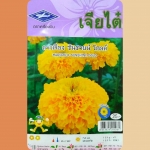 ดาวเรือง ซันชายน์ โกลด์ เจียไต๋