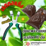 เซตตอนกิ่ง (คีมตอนกิ่ง + ตุ้มมะพร้าวแบบละเอียด 10 ตุ้ม) / เซต