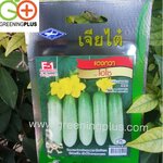 แตงกวา ไฮโซ (CUCUMBER HISO) เจียไต๋