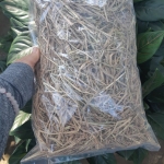 ฟางข้าว