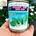 กวางตุ้งฮ่องเต้เทนเดอร์ TA087 (Pai Tsai) เพื่อนเกษตร