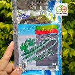 บวบงู (Snake gourd) เจียไต๋