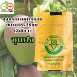 ถุงกระดาษคาร์บอน ขนาด18x28ซม. (สีเขียว) 300ใบ/แพ็ค