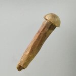 A743 หมุดอาถรรพ์ แกะจากวัสดุธรรมชาติ