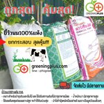 ขี้วัวนม100%แห้ง 1กส./6-10กก.