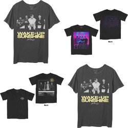 [PREORDER] เสื้อวง ALL TIME LOW T-SHIRT ลิขสิทธิ์แท้ UK รวมลายสุดฮิต