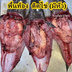พื้นท้องติดไข่ปลาช่อน