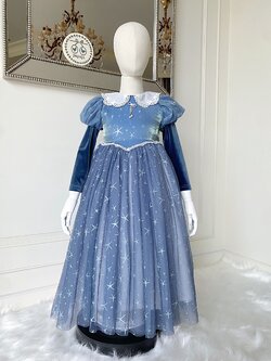 ชุดเจ้าหญิงเอลซ่า รุ่นบุขนฟรีซกันหนาว ปกคอบัวแขนยาวกำมะหยี่ สีคลาสสิคละมุนผู้ดีมากๆ ไม่รวมผ้าคลุม