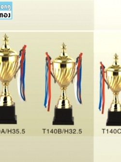 TPZ140 ถ้วยรางวัลโลหะ ZINC