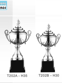 TPZ202 ถ้วยรางวัลโลหะ ZINC