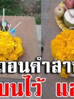 เผลอบนไว้แล้วลืมชีวิตติดขัดมาดูวิธีเเก้ทำแล้วดีนะเห็นผลทันตา