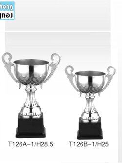 TPZ126 ถ้วยรางวัลโลหะ ZINC