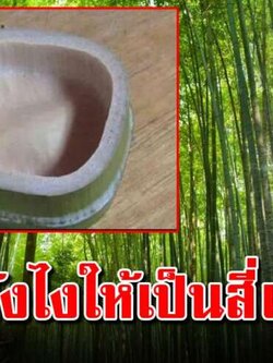 ทำง่ายมาก เปลี่ยนต้นไผ่ธรรมดาเป็นไผ่สี่เหลี่ยม ทำเองได้ ขายเพิ่มมูลค่า