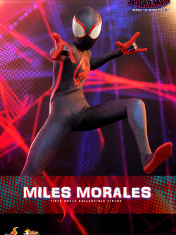Hot Toys MMS710 1/6 Spider-Man: Across the Spider-Verse - Miles Morales