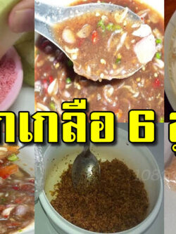 พริกเกลือ 6 สูตร ฉบับป้ารถเข็นผลไม้บอก จิ้มอะไรก็อร่อย